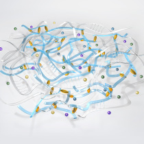 michel-saemann-illustration-3D-médical-dopamine-Acide Hyaluronique