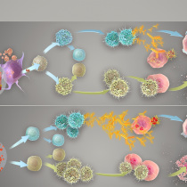 michel-saemann-illustration-3D-médical-vaccin